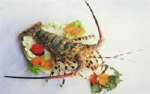 LOBSTERS
