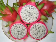 FRESH DRAGON FRUIT