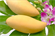 Picture of FRESH MANGO (RIPE MANGO)