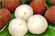 Picture of FRESH VIETNAM LYCHEE