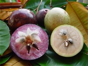 Picture of FRESH STAR APPLE FRUITS