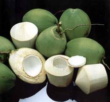 FRESH COCONUTS