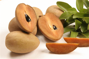 Picture of SAPODILLA