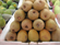 Picture of SAPODILLA