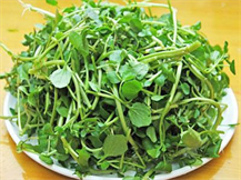 WATERCRESS