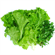 Picture of LETTUCE