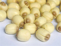 DRIED LOTUS SEED