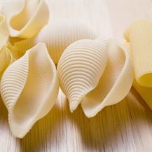 Shell-Shaped Macaroni