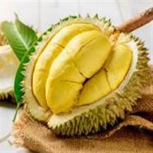 DURIAN